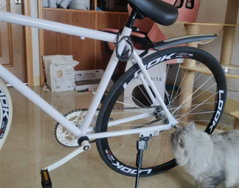 死飞 只骑过三四次  几乎全新 感兴趣的话...