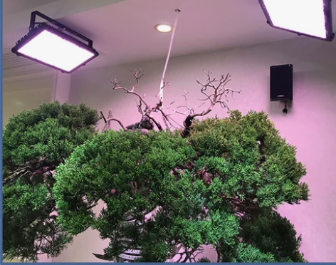 植物灯生长灯LED全光谱光合作用蔬菜花卉大...