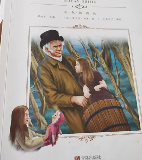 悲惨世界，彩色插图版，需要的可扣起来，非常...