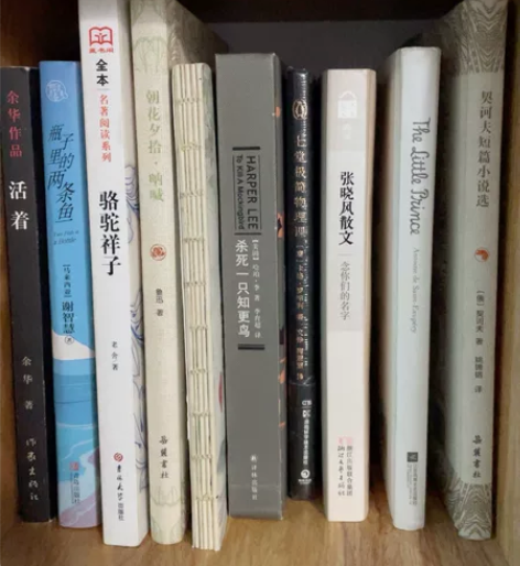 高中毕业所有小说都不要了 低价出 骆驼祥子...