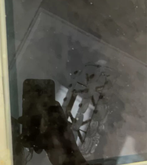iPad 99新 感兴趣的话点“我想要”和...