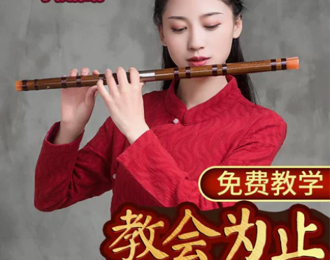 【年货价】迪海 笛子乐器/初学成人学生笛/...