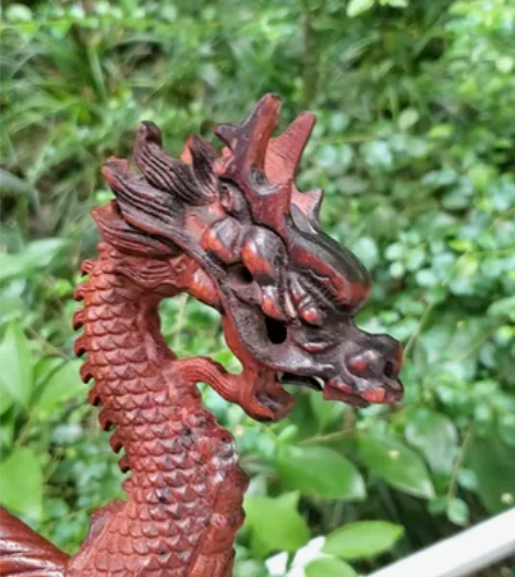 民乐 二胡，红木二胡，家里的高档二胡杆子不...