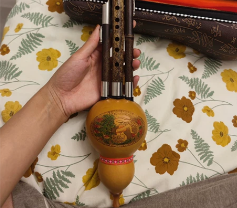 葫芦丝，全新未用 感兴趣的话点“我想要”和...