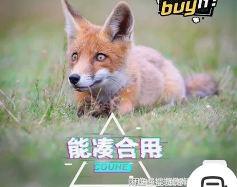 OPPO Watch智能手表 46mm 心...