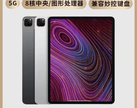Apple/苹果iPad Pro5代 20...