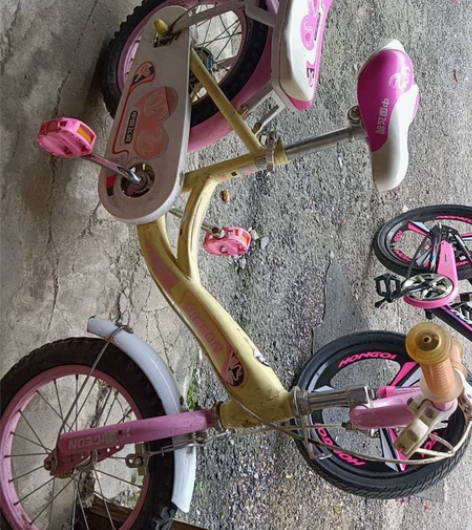 中国飞鸽自行车30出,买家出邮费就行,给钱...