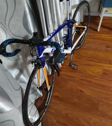 闲置捷安特公路自行车，TCR6300涂装完...