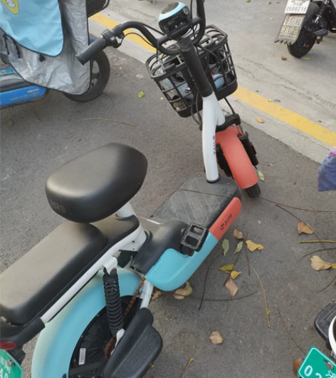 台铃铅酸电动车 21年5月买的?TAILG...