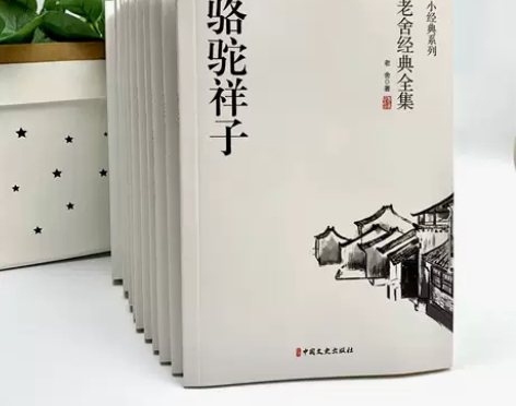 老舍经典全集全10册骆驼祥子原著正版散文集...