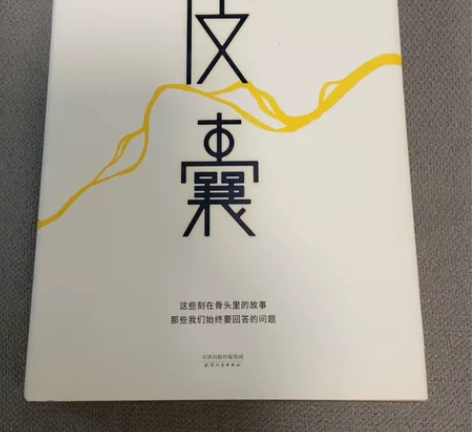 皮囊 蔡崇达作品 中国现当代随笔小说长篇散...