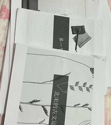 延边大学 新闻学 2年级 上 中国文学PP...