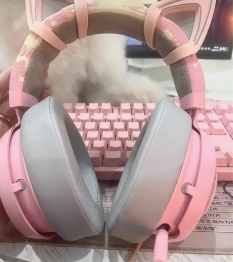 Razer雷蛇北海巨妖头戴式7.1声道游戏...