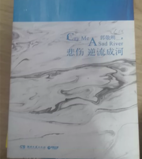 郭敬明《悲伤逆流成河》 郭敬明《夏至未至》...