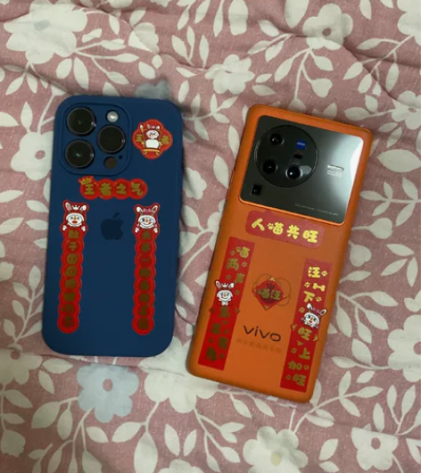 VIVO vivo X80 Pro 天玑9...
