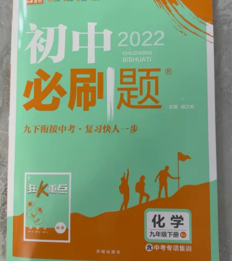 初中化学必刷题九下 2022的 2023教...