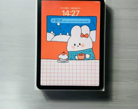 iPad Air4 2020款插卡+Wi-...