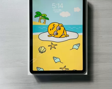 97新iPad Air4 2020款插卡+...