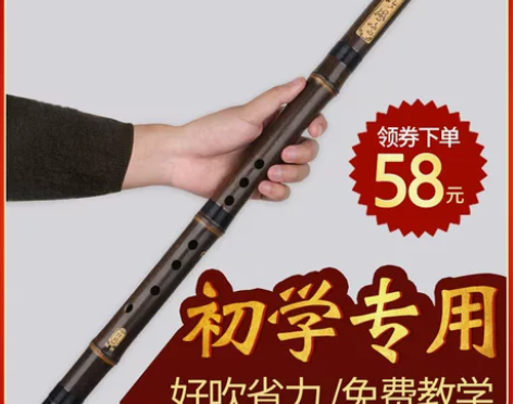 洞箫紫竹专业高档洞萧笛初学入门零基础箫乐器...