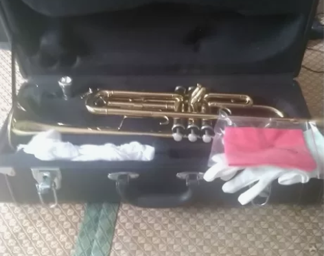 小号，雅马哈品牌，全新，试催了几回 感兴趣...