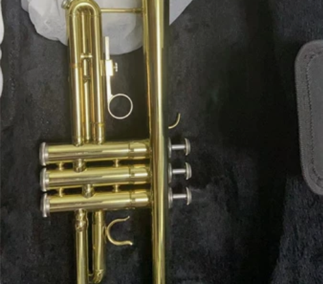 孩子被选为学校的小号班。就在学校老师那儿买...