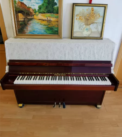 PRINCESS钢琴 色号:9# 红木 型...