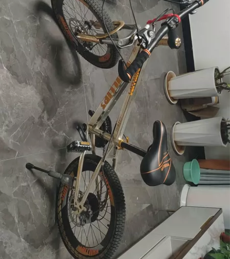 菲利普 20寸地 山地自行车  9成新 感...
