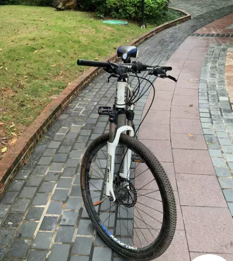 喜德盛逐日600公路自行车,26*19的,...