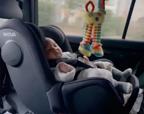 avova 城市猎人 斯博贝 德国原装进口...