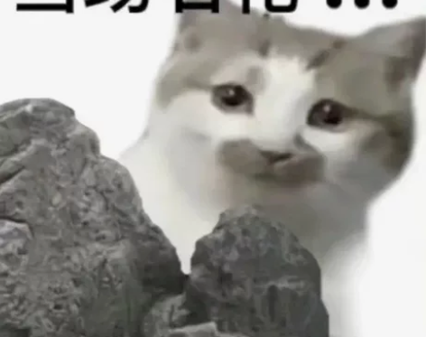 秋招转码咨询 如题，秋招转码，提供秋招转码...