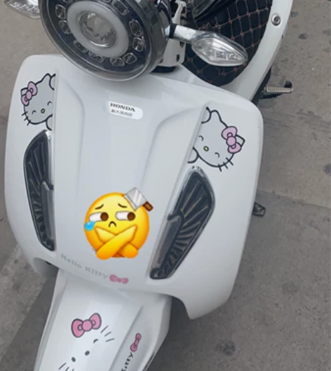 新大洲本田电动车,纯白色,过年550块钱才...