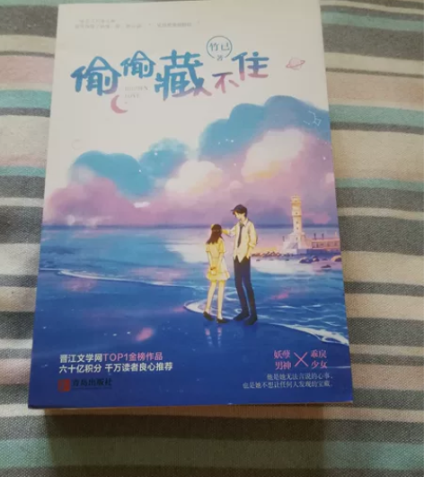 《偷偷藏不住》上下册,青春文学,晋江文学网...