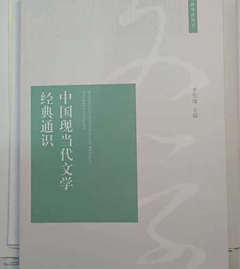 《中国现当代文学经典通识》 全新正版  北...