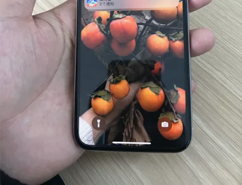 iPhoneX  256g  银色美版无锁...