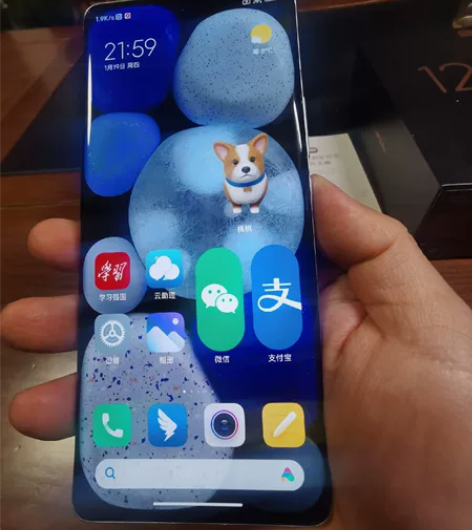 仅限本地交易。小米12PRO，12+256...