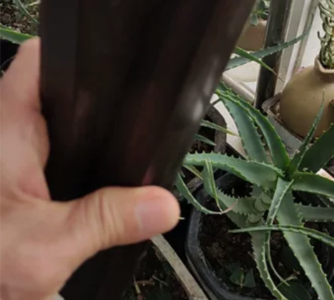 直拍福利檀木镇纸厚重文雅收藏品文玩把件，尺...