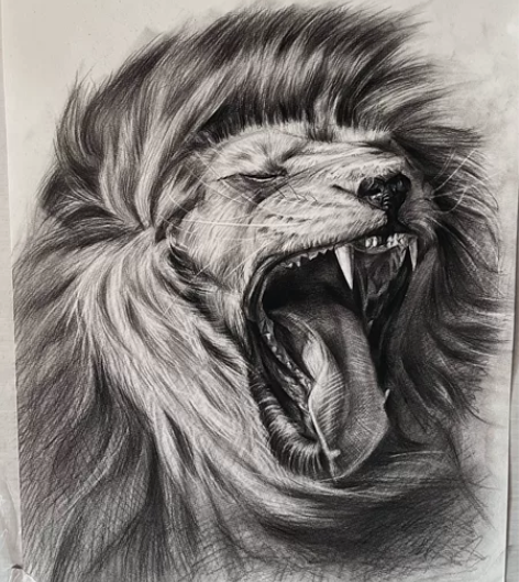 素描作品 50cm40cm 感兴趣的话点“...