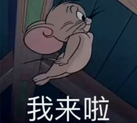 留学生辅导 会计学习  统计 经济  金融...