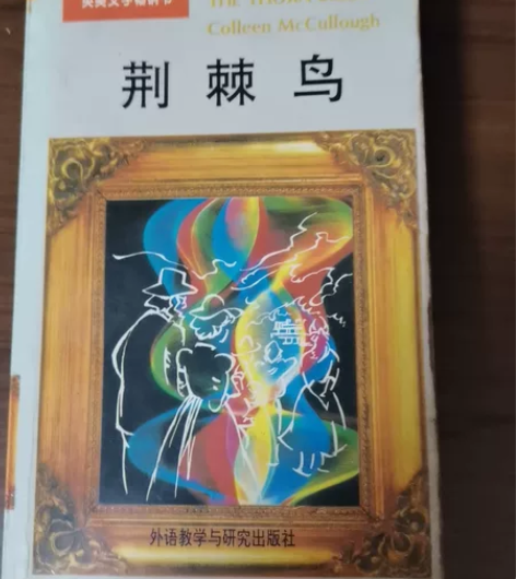 年轻时爱看的英语书籍,书籍9成新,但正常泛...