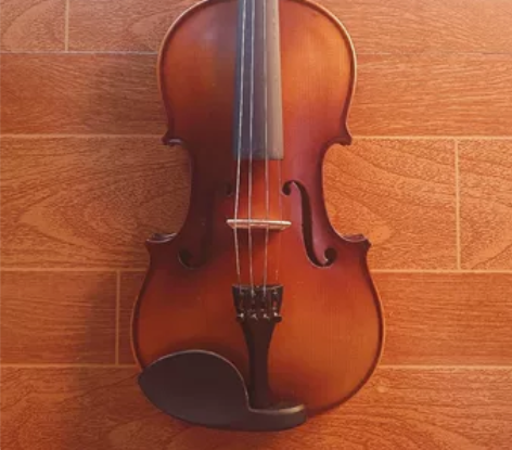 艾尔音初学者实木手工小提琴初学入门儿童成人...