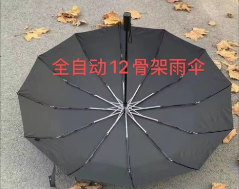 捡漏了，全自动12骨架雨伞挡雨遮阳伞 老外...