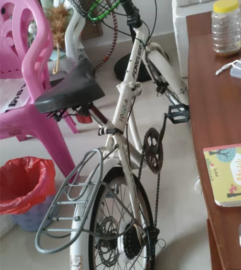 永久牌可折叠自行车,20寸的,挺轻便携小型...