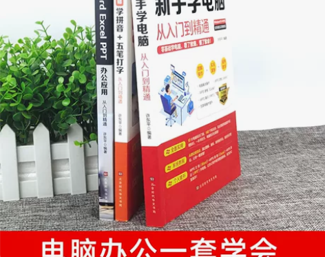 精通计算机应用基础表格制作自学计算机书籍