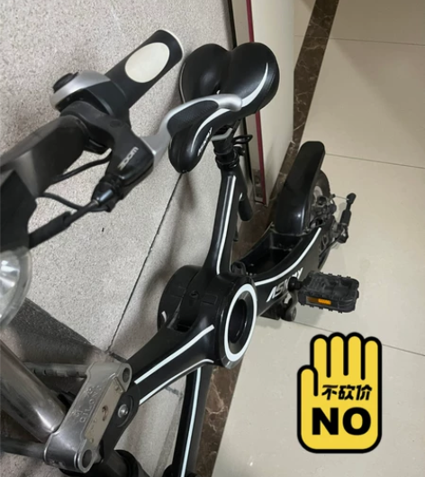 恩斯迈电动折叠自行车,9成新,型号为TDW...