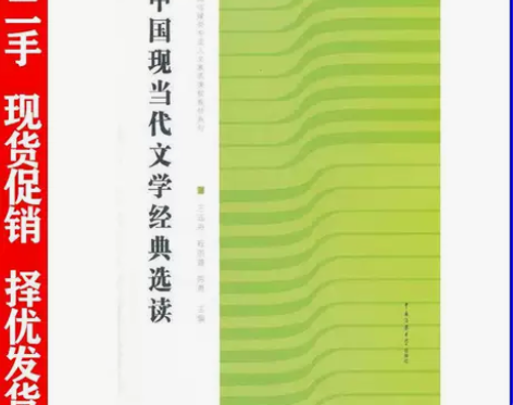 二手正版中国现当代文学经典选读王远舟中国传...