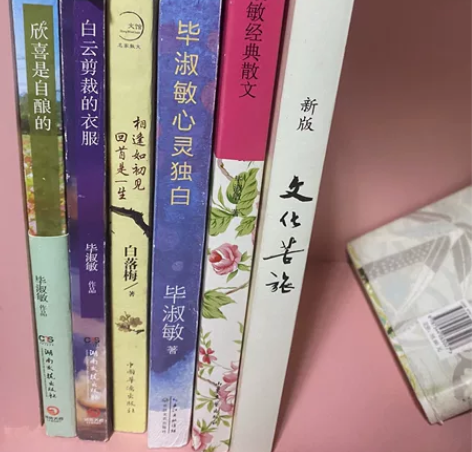 毕淑敏散文 欣喜是自酿的 白云剪裁的衣服，...