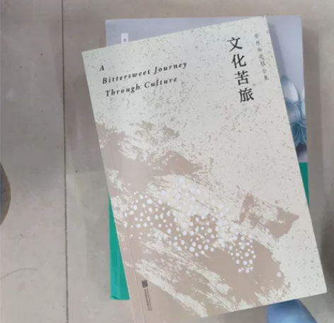 文化苦旅和人间词话，高考提供写作素材 感兴...