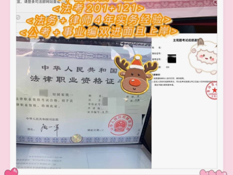 中国政法学姐/法考一对一辅导/公考上岸辅导...