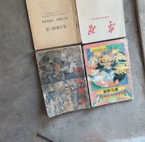 老书本 ，少林拳法，七龙珠，学习，毛主席词...