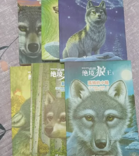 出闲置书籍 全新，买了从来没看过，想看细节...